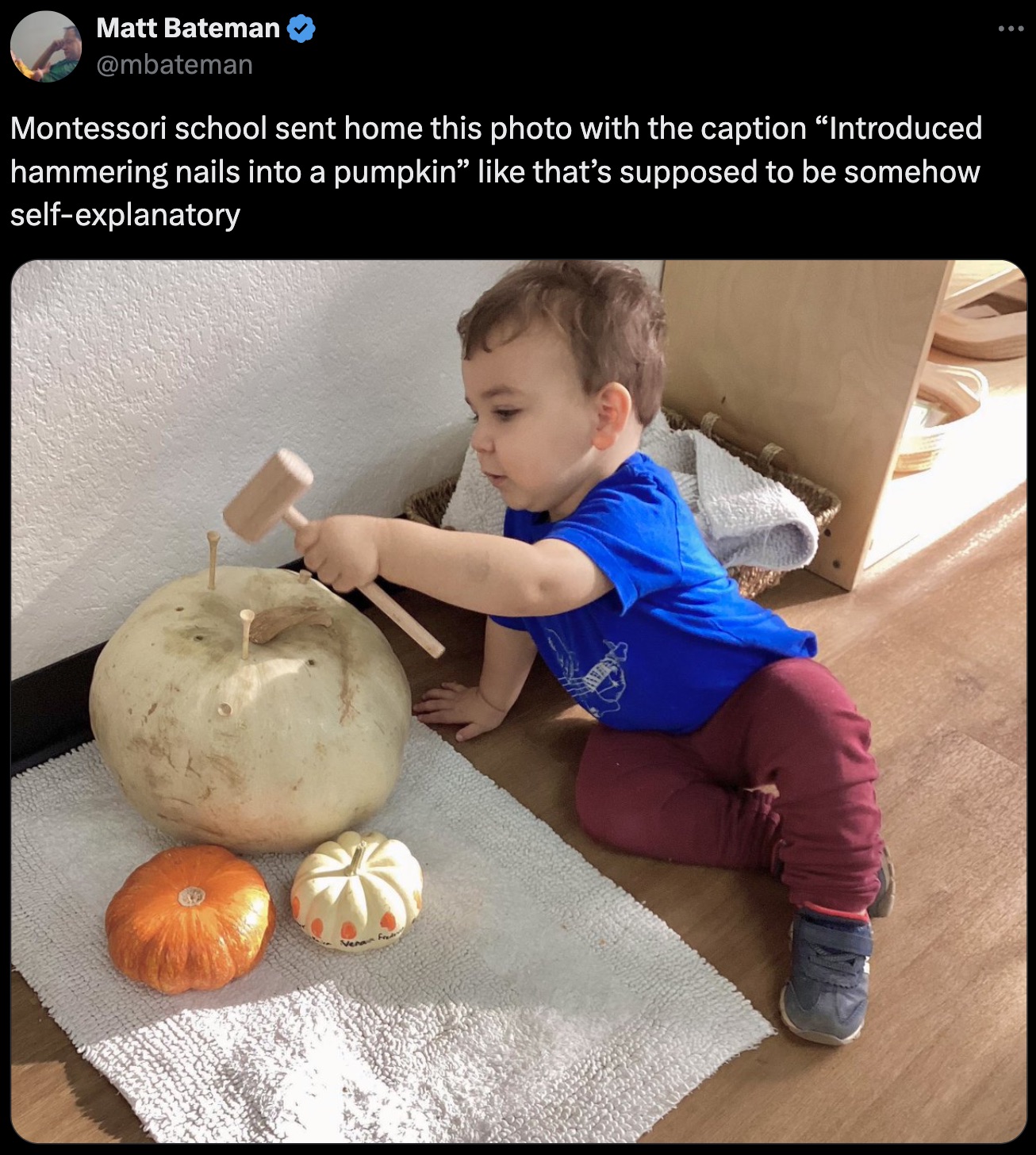 toddler - Matt Bateman Montessori school sent home this photo with the caption "Introduced hammering nails into a pumpkin" that's supposed to be somehow selfexplanatory